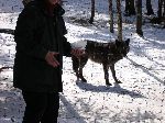 011_2009-0214-1258-48-JoeA.jpg
